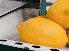 Раскрыт вред чрезмерного употребления лимона