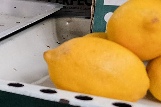 Раскрыт вред чрезмерного употребления лимона