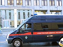 Подмосковные следователи признали факт мошенничества с акциями ДСК-1