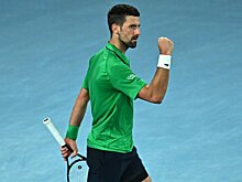 Джокович 38-й раз вышел в финал «Большого шлема» и обновил свой же рекорд