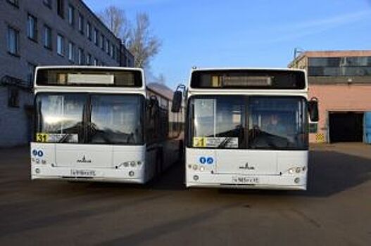 Болельщиков из Марокко и Ирана повезут к стадиону 130 автобусов