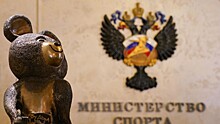 Минспорт предложил провести чемпионат среди футбольных клубов новых регионов