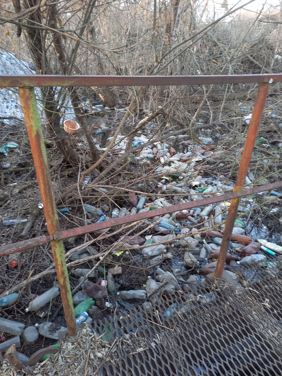 Сток в Новокузнецке превратился в кладбище пластиковых бутылок