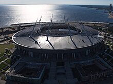 Тренер Новой Зеландии оценил состояние поля "Зенит-Арены"