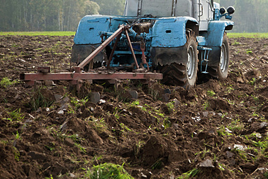 Опубликована карта свободных участков Подмосковья под сельское хозяйство