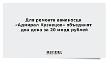 Для ремонта авианосца «Адмирал Кузнецов» объединят два дока за 20 млрд рублей