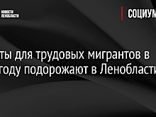 Патенты для трудовых мигрантов в 2022 году подорожают в Ленобласти