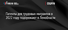 Патенты для трудовых мигрантов в 2022 году подорожают в Ленобласти