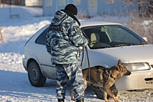 В Красноярске арестовали перевозчицу с крупной партией зелья