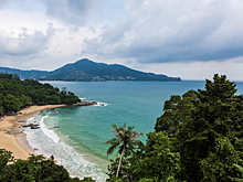 Сальпы покусали компанию российских туристов на Филиппинах