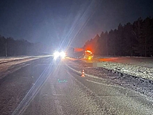 Пешеход попал под КамАЗ на Чуйском тракте под Искитимом