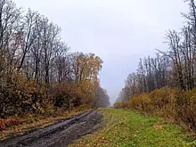 Самарцев предупредили о субботнем тумане