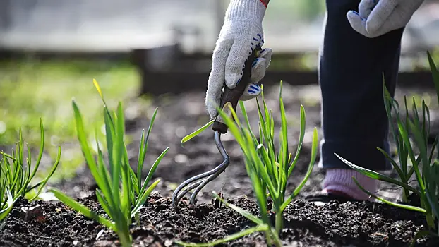 РБК: в&nbsp;России становится трендом &laquo;серебряная&raquo; экономика