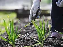 Глобальный экономический тренд пришел в Россию