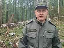 Тела погибших в крушении Ан-24 извлекли из-под обломков