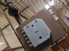 В Якутии помилованного за участие в СВО дезертира заподозрили в четвертом убийстве