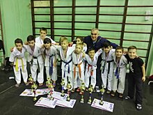 Восемь золотых медалей завоевали нижегородские каратисты на турнире в Кинешме