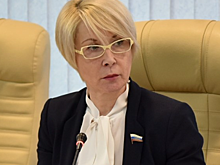 Елена Ковалева предложила отказаться от голосования по партийным спискам в гордуму