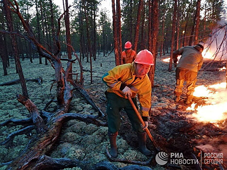 Площадь лесных пожаров в Сибири снова выросла