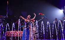 В Саратове пройдут только три представления программы «Принц цирка»