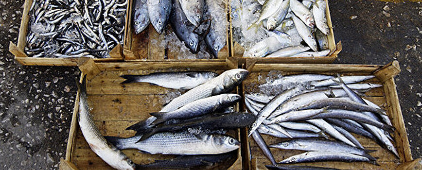 Росрыболовство не видит рисков дефицита рыбы из-за техрегламента ЕАЭС