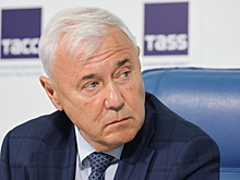 Аксаков прокомментировал информацию о новой мошеннической схеме с самозапретами на кредиты