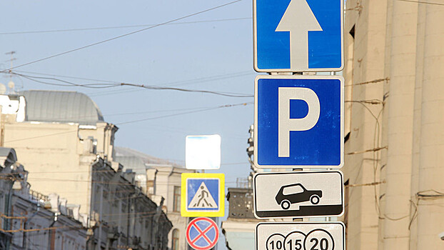 Автоэксперт оценил возможность исправлять ошибки при оплате парковки