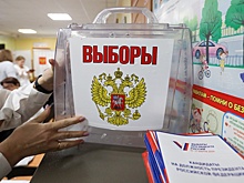 Наблюдатели подвели итоги второго дня президентских выборов