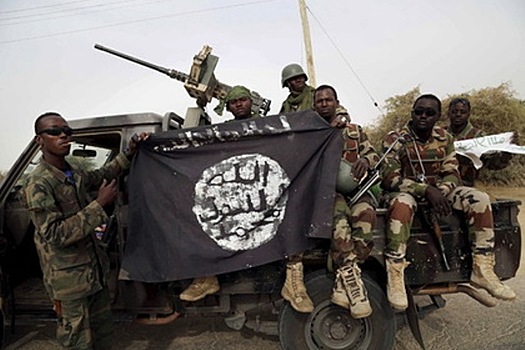 В Камеруне займутся реинтеграцией боевиков в общество