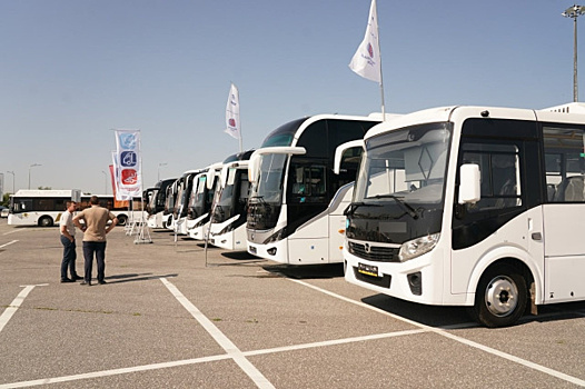 Рулят процессом: в Самаре определили лучших водителей автобусов