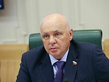 Сенатор Шохин предложил обсудить расширение льготного кредитования в автопроме