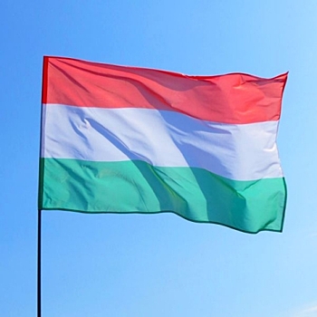 Центр венгерского языка откроется в Нижнем Новгороде