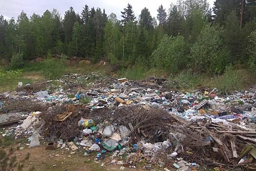 Как Архангельская область стала заложником мусорной реформы