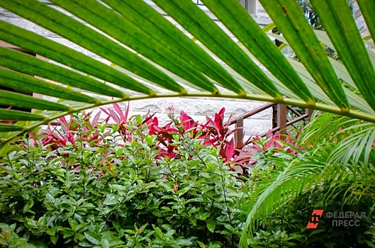 «Теперь едут не только на море»: эксперт по туризму – о свадьбах на Великой стене и бизнес-турах по фабрикам Китая