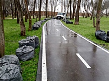 Уборку опавших листьев завершили в поселении Десеновское