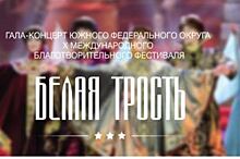 В Краснодаре состоится гала-концерт фестиваля «Белая трость»