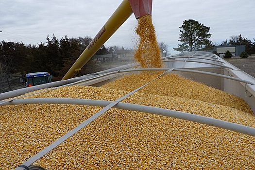 На мировых биржах снизились цены контрактов на зерно