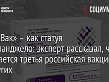 «КовиВак» – как статуя Микеланджело: эксперт рассказал, чем отличается третья российская вакцина от других