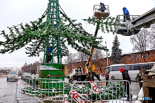 На главную елку в Нижнем Новгороде потратят 10 миллионов рублей