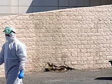 Еще 57 человек заболели COVID-19 в Астраханской области