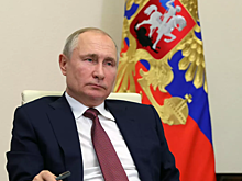 Блогеры обратились к Путину с просьбой