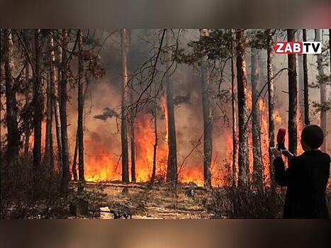 На подготовку к пожароопасному сезону выделено почти 3 млрд рублей