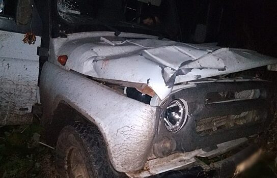 В Кургане через день происходит ДТП с участием пешеходов