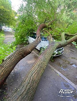 В Ростове во время грозы дерево упало на машину