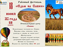 Курганский «Стоунхендж» рекламируют после критики депутатов