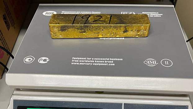 В&nbsp;Приамурье водителя из&nbsp;КНР осудили за&nbsp;попытку вывоза золота на&nbsp;15&nbsp;млн рублей