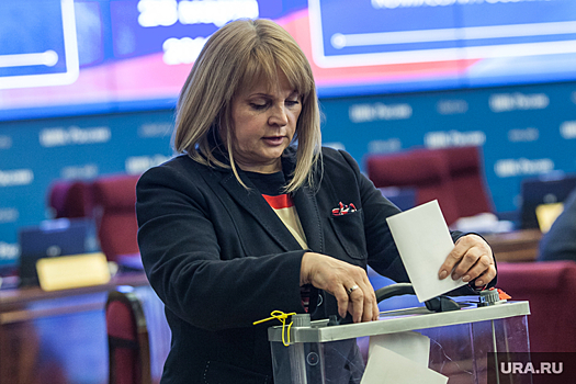 Памфилова проголосовала на выборах президента в Подмосковье