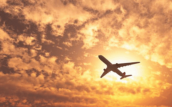 Лоукостер Wizz Air начнет полеты в Петербург из десяти городов Италии