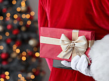 Челябинцы пригласили Деда Мороза к мальчику, оставшемуся без подарка на утреннике