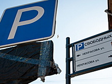 Жители Адмиралтейского района потребовали отменить плату за парковки у социальных учреждений